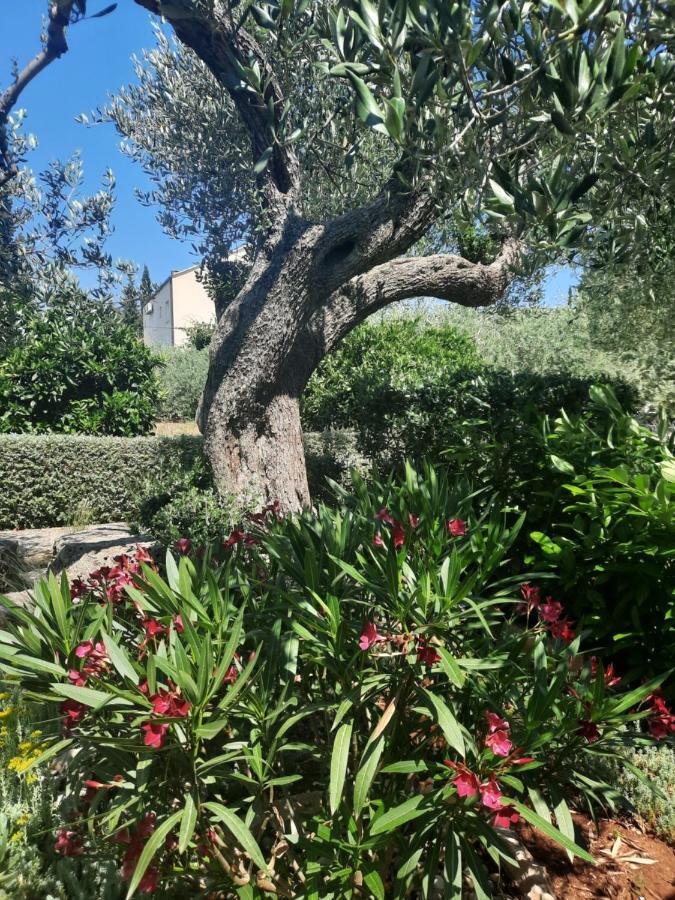 Pere Appartement Korčula Buitenkant foto